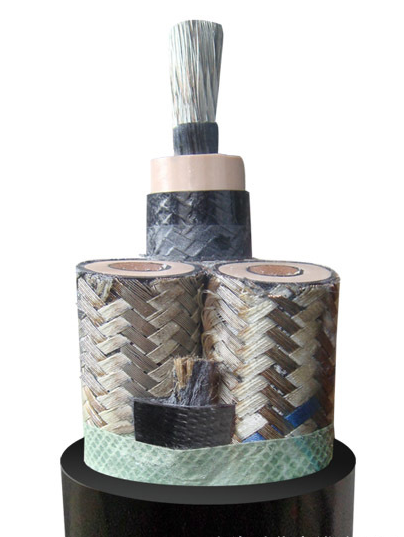 屏蔽機(jī)車(chē)電纜3.18-2.png