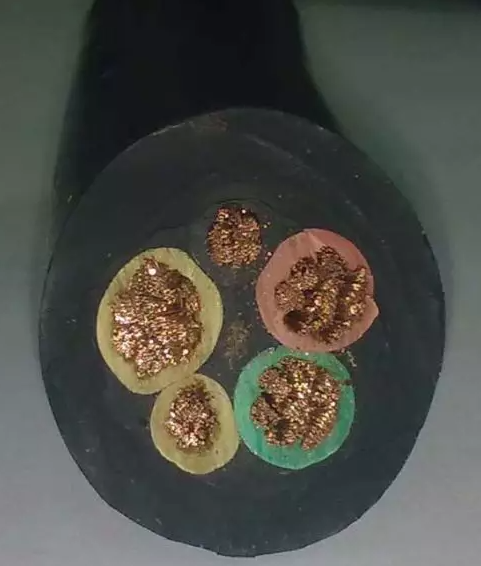 QQ截圖20231109104815.png