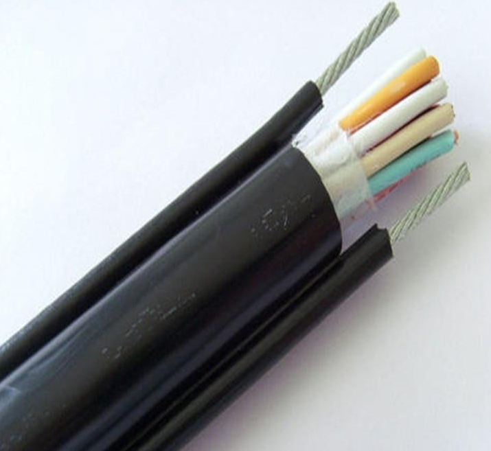 雙側(cè)帶鋼絲繩電纜RVVY2G-30*1.5