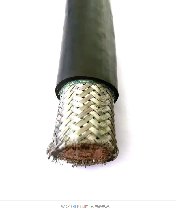 3577f06f-96c9-4e7f-9d8b-74287aeb0812.png